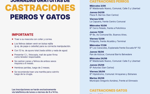 Maldonado retoma las castraciones gratuitas de perros y gatos en distintos barrios y localidades