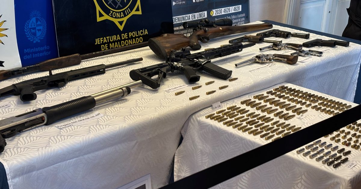 Operación Rout-12 II: formalizan a un nuevo implicado y recuperan un arsenal con 43 armas de fuego