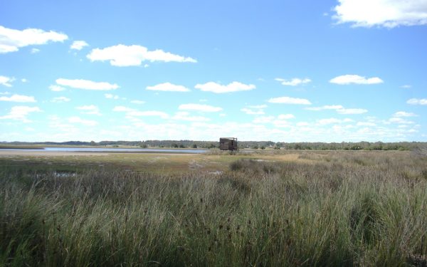 Maldonado creará una Guardia Ambiental con guardaparques y pasantes