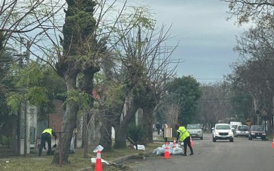 Beneficiarios de Uruguay Impulsa limpian barrios de Maldonado
